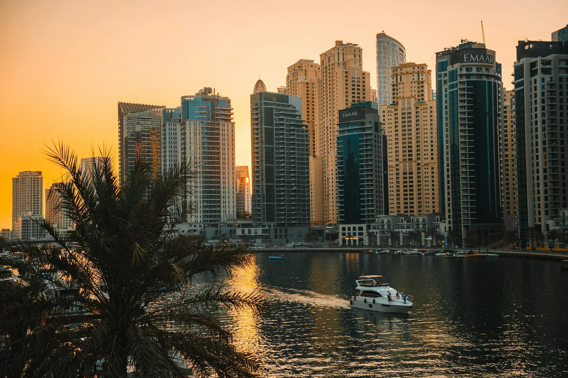 Marina evenings